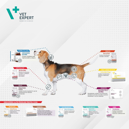 Hepatiale Vet Expert – Large Breed – supliment pentru susținerea funcției hepatice la câini de talie mare, 40 tablete